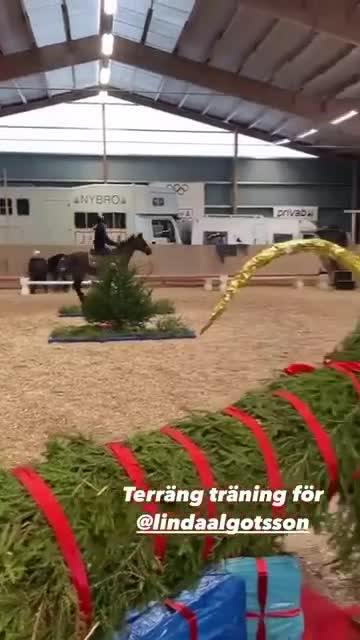 Allround hästar till salu: Perfekt läromästare  - Video 3
