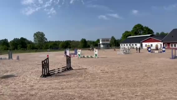 Allround hästar till salu: Pigg valack Russ/Welsh i Ljungby - Video 2