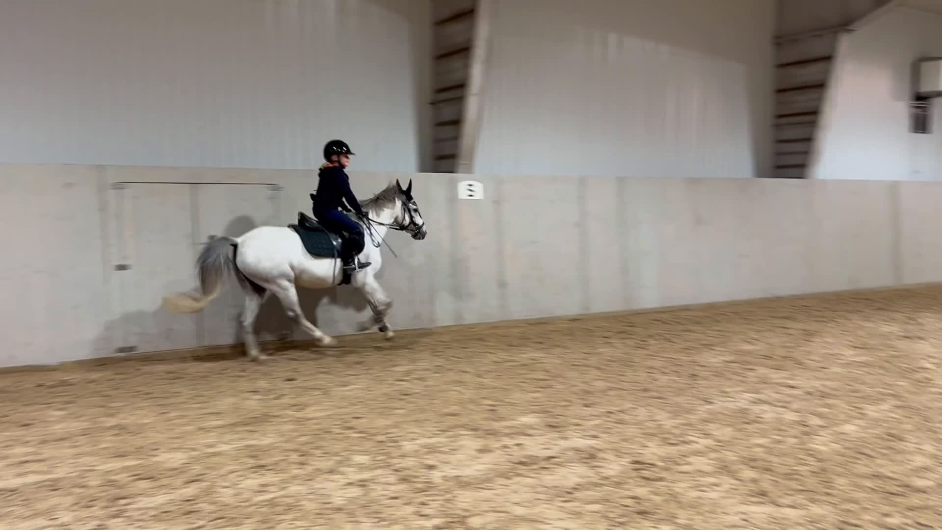 Hoppning hästar till salu: En kvalitetsponny!  i Skellefteå - Video 3