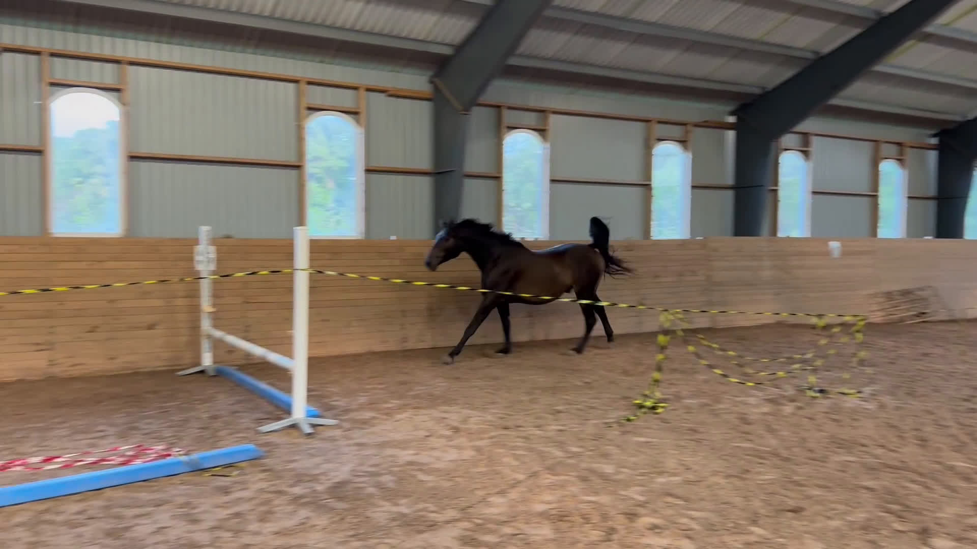 Hoppning hästar till salu: Lovande hoppvalack i Rottne - Video 1