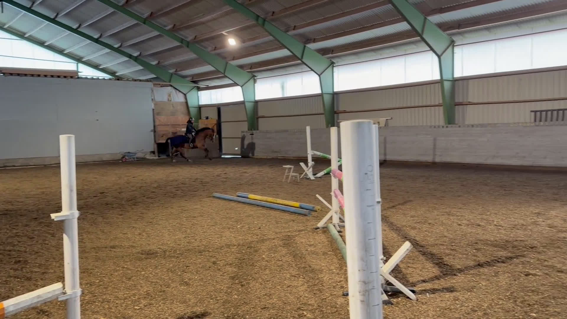 Allround hästar till salu: Snygg valack i Hindås - Video 1