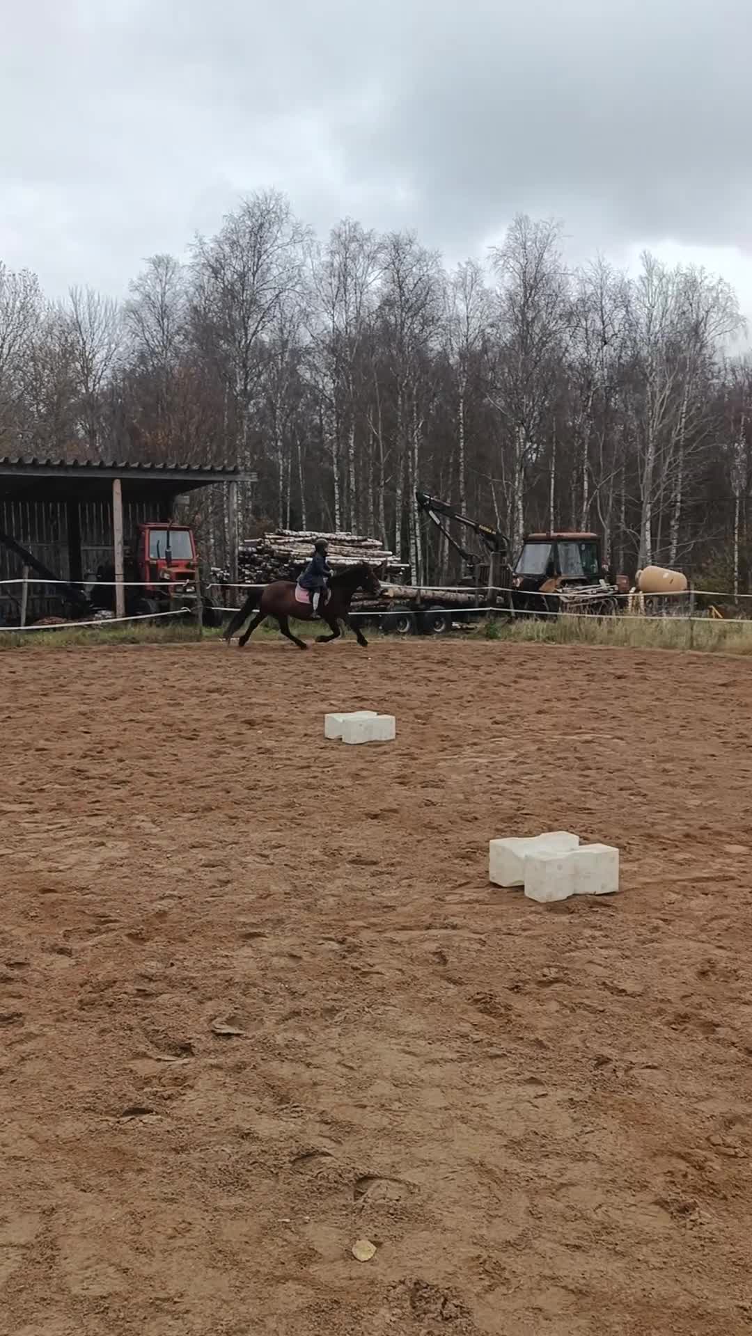 Övrigt hästar till salu: kallblodssto till salu - Video 4
