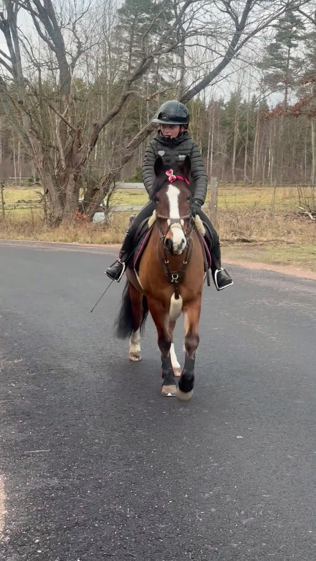 Allround hästar till salu: Maxad B-ponny för hobbyridning i Vimmerby - Video 4