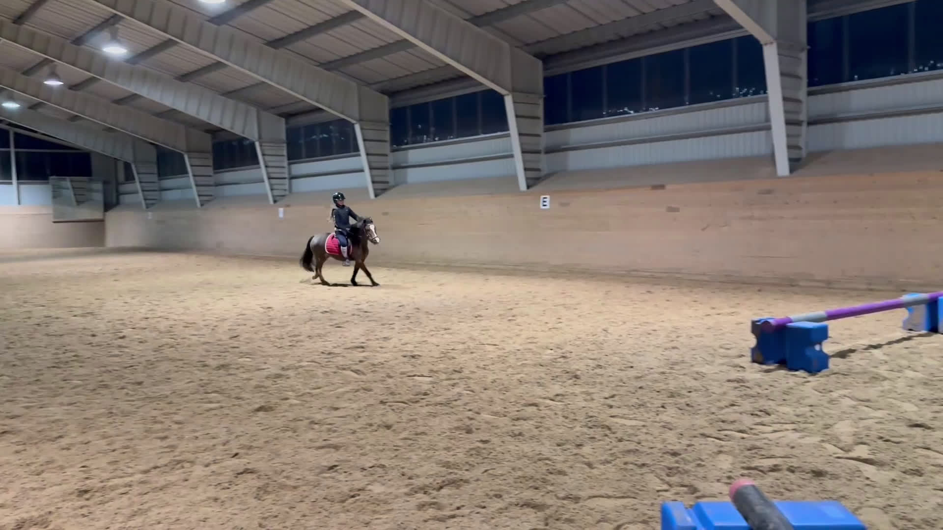 Allround hästar till salu: Supergulligt B ponny sto!  - Video 3