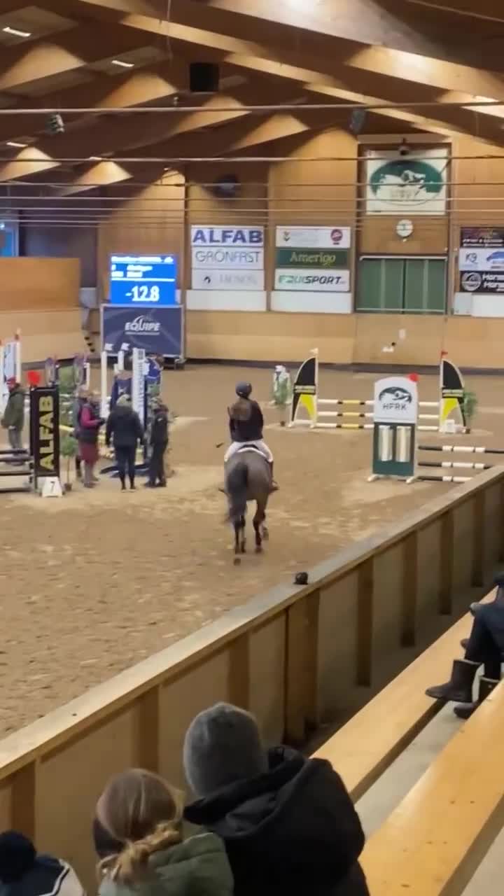 Allround hästar till salu: Libertti maxad D-ponny söker nytt hem  - Video 4
