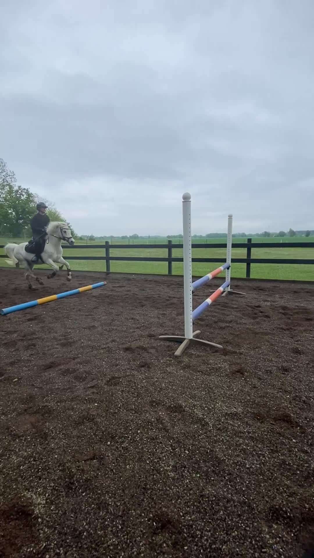 Allround hästar till salu: Läromästare/sällskapshäst i Hagby - Video 3