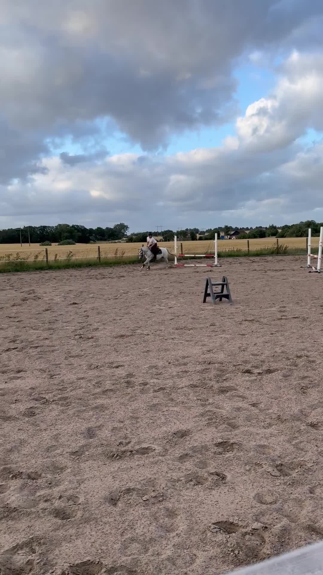Allround hästar till salu: Finaste Lejsan - Video 1