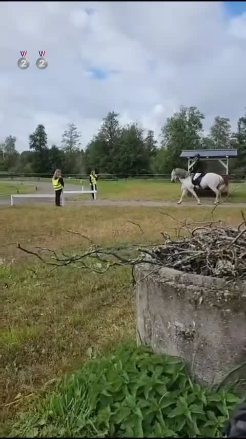 Allround hästar till salu: En bästa vän för livet❤️ - Video 3