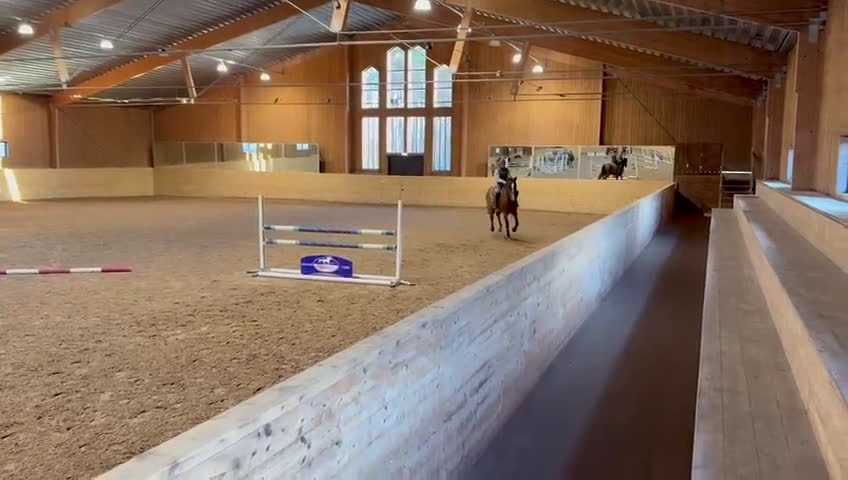 Hoppning hästar till salu: Diamond in the rough - Video 1