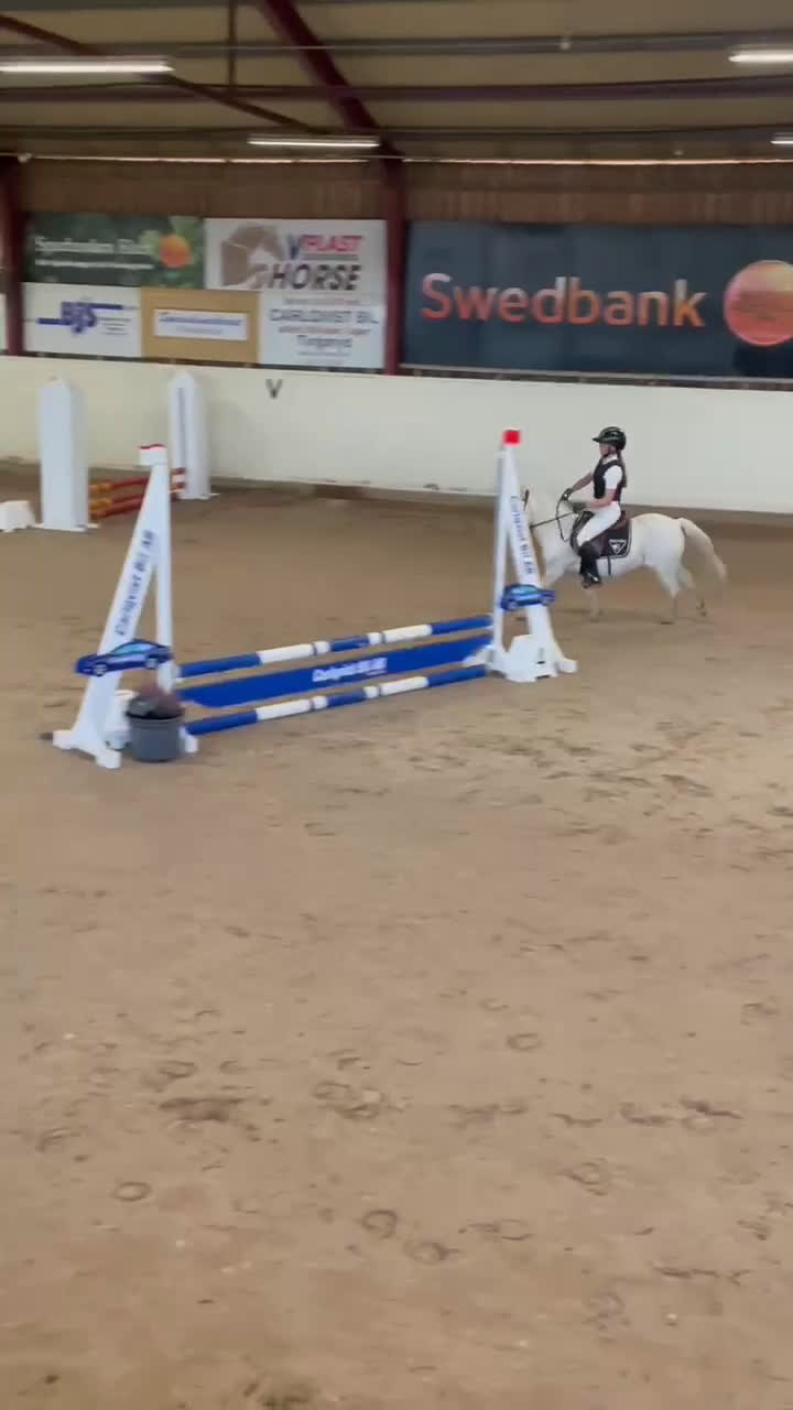 Hoppning hästar till salu: Läromästare/rosettplockare i Bergkvara - Video 1