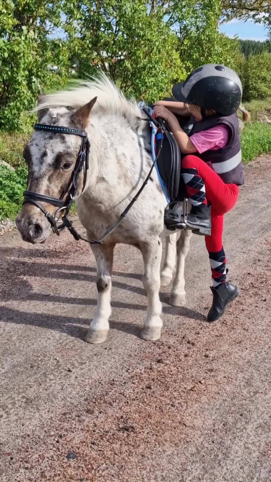Allround hästar till salu: *Reserverad* Världens gladaste ponny - Video 1
