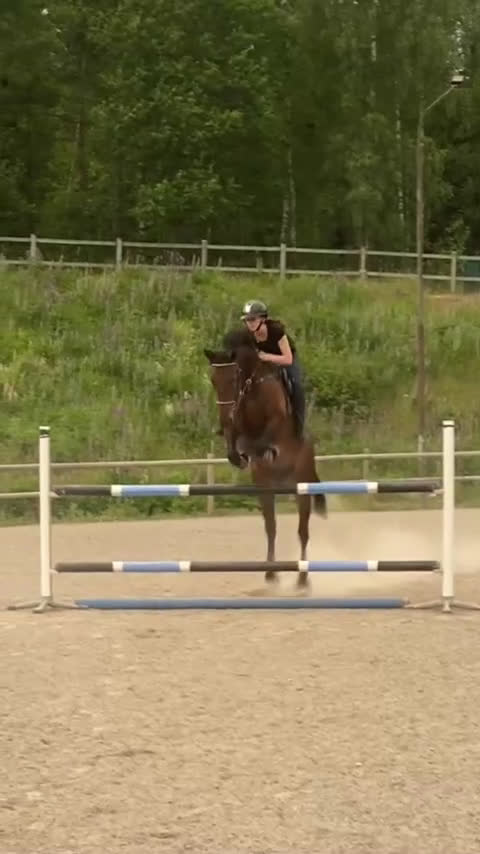 Hoppning hästar till salu: Din blivande stjärna?! i Månsarp - Video 2