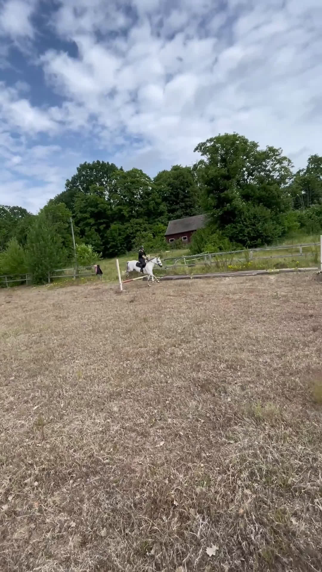 Allround hästar till salu: Fin Läromästare🌟 i Ronneby - Video 5