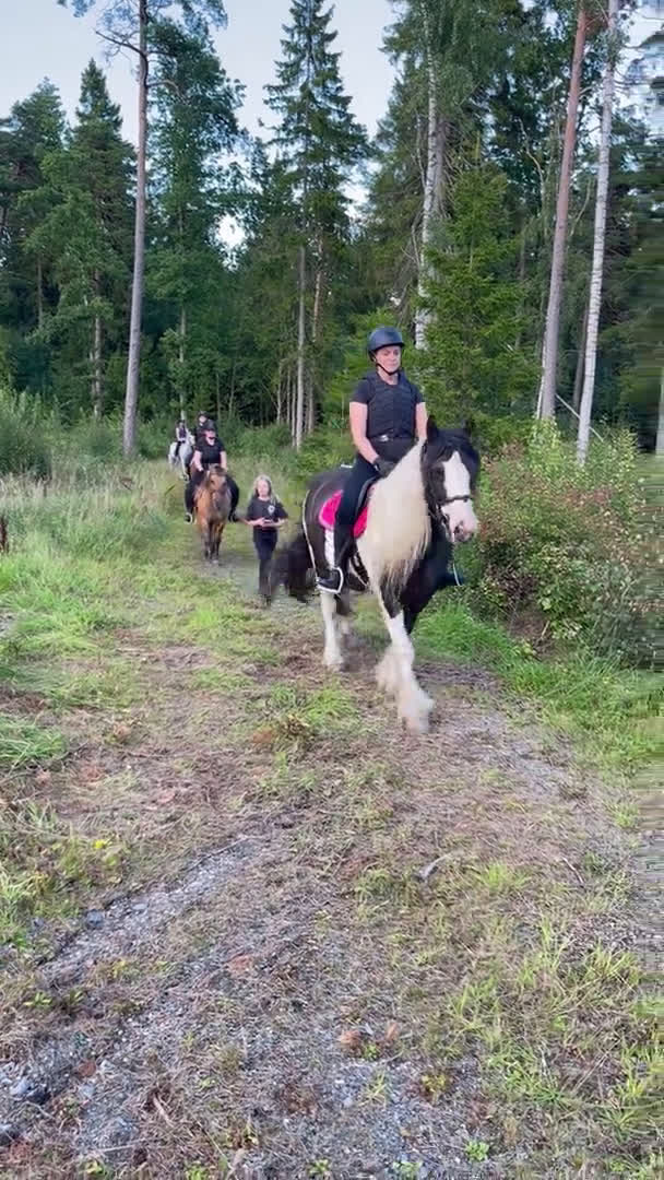  hästservice finnes: Ridläger sommaren 2026 på www.kyrkobacka.se i Lidköping - Video 4