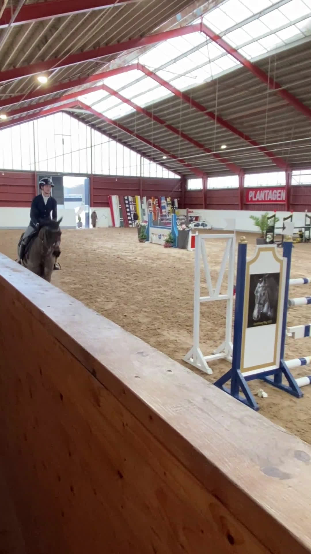 Allround hästar till salu: Trevlig Valack 6år - Video 2