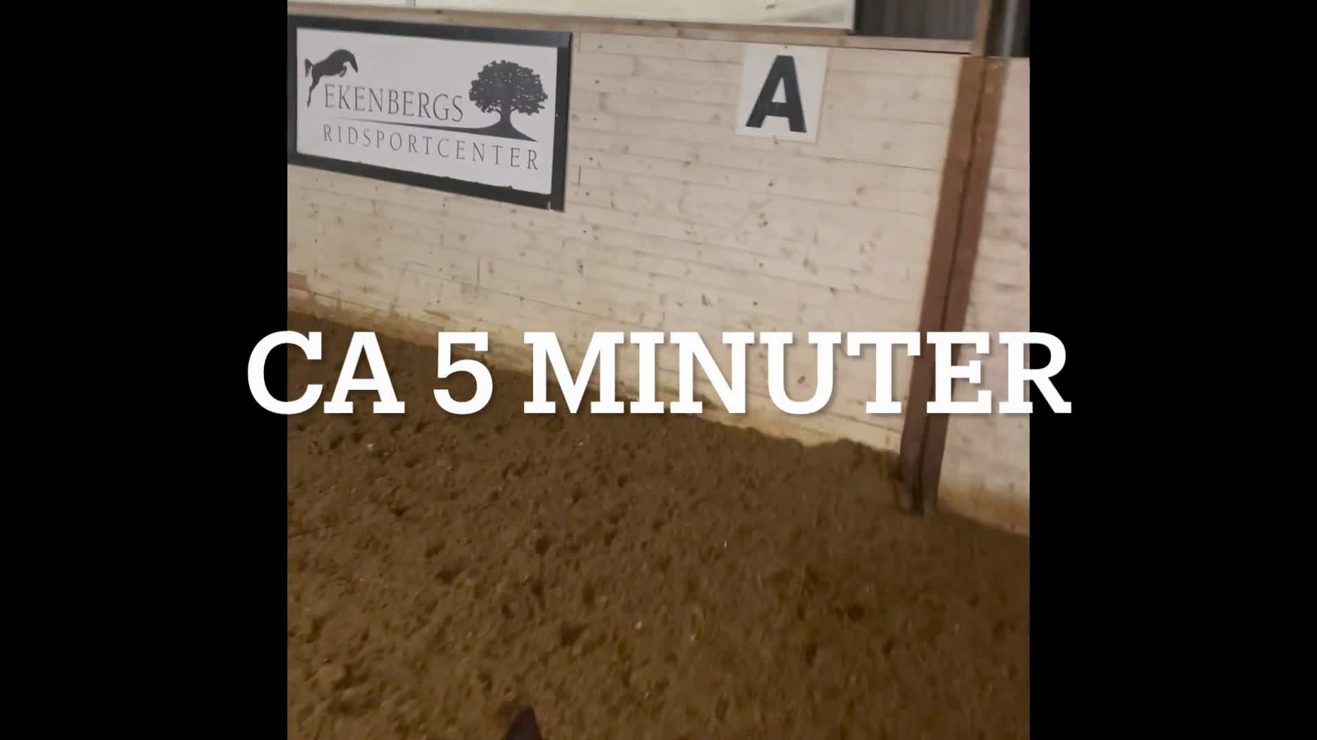  stallplats finnes: Ledig stallplats, Norrköping  - Video 3