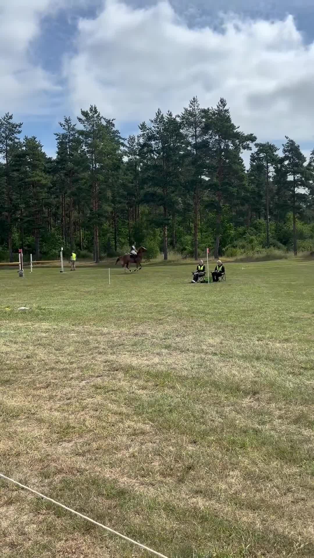 Fälttävlan hästar till salu: Blivande fälttävlansstjärna - Video 2