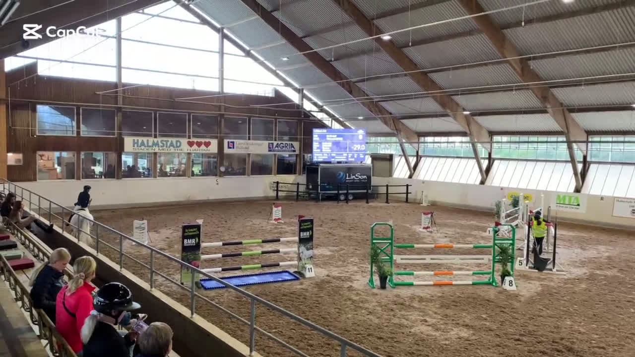 Allround hästar till salu: Snygg valack! i Trollhättan - Video 1