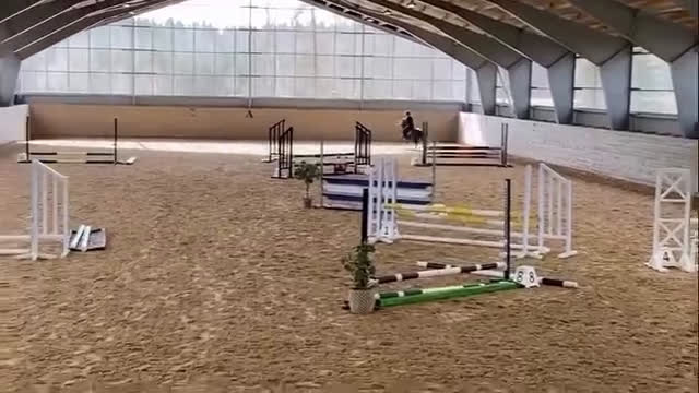 Allround hästar till salu: Trevlig Welsponny  i Vingåker - Video 1