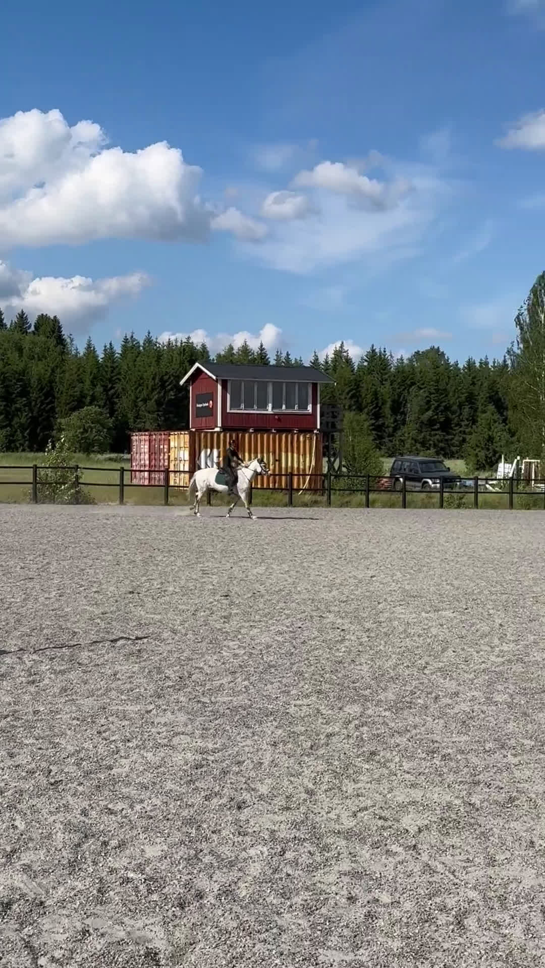 Hoppning hästar till salu: Vackraste ponnyn - Video 2