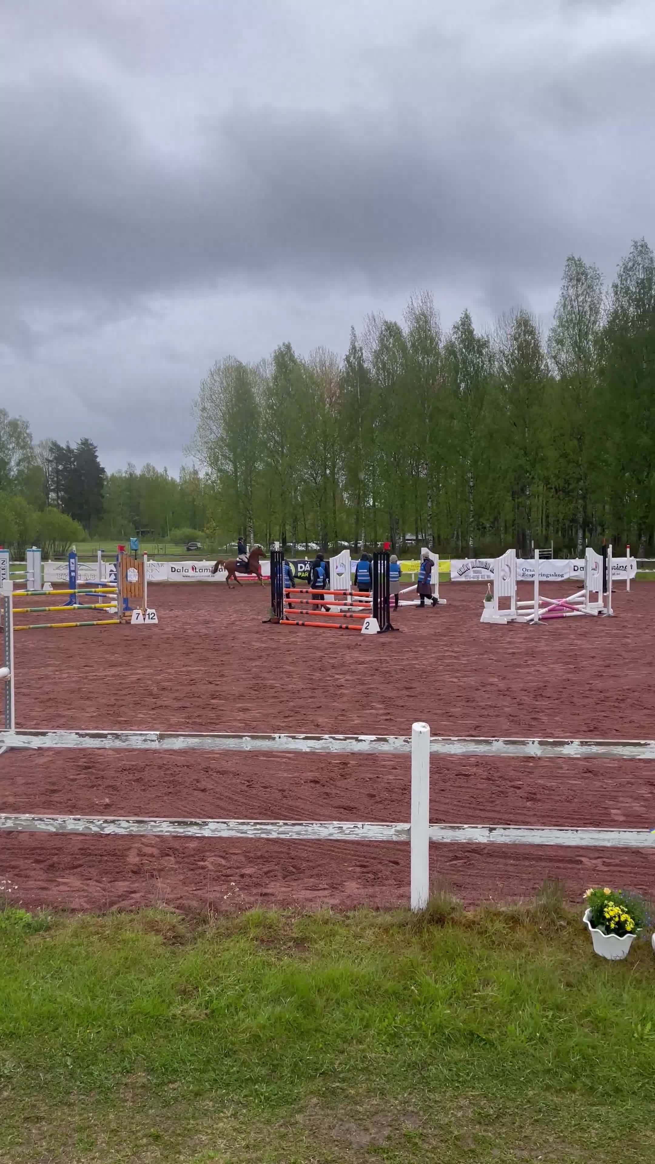 Hoppning hästar till salu: Charmig ponny till salu 🦄 - Video 3