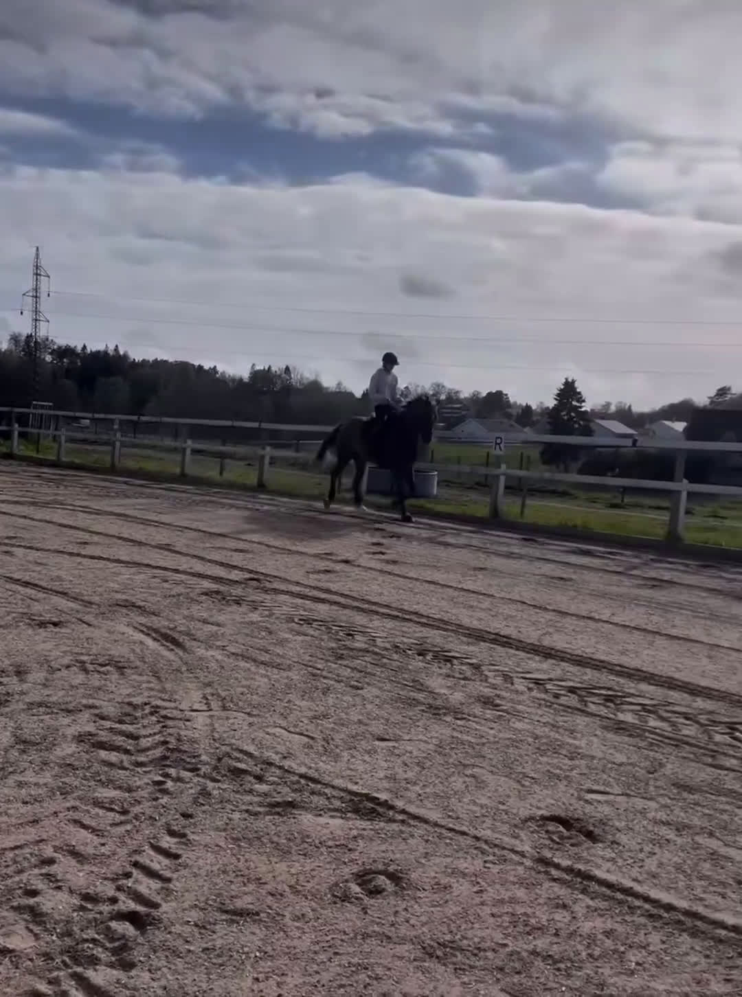 Allround hästar till salu: En på miljonen🌟 i Göta - Video 3