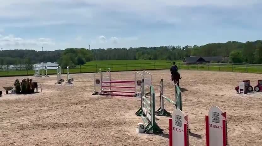 Hoppning hästar till salu: 🌟 Trevlig SWB hopphäst 🌟 - Video 1