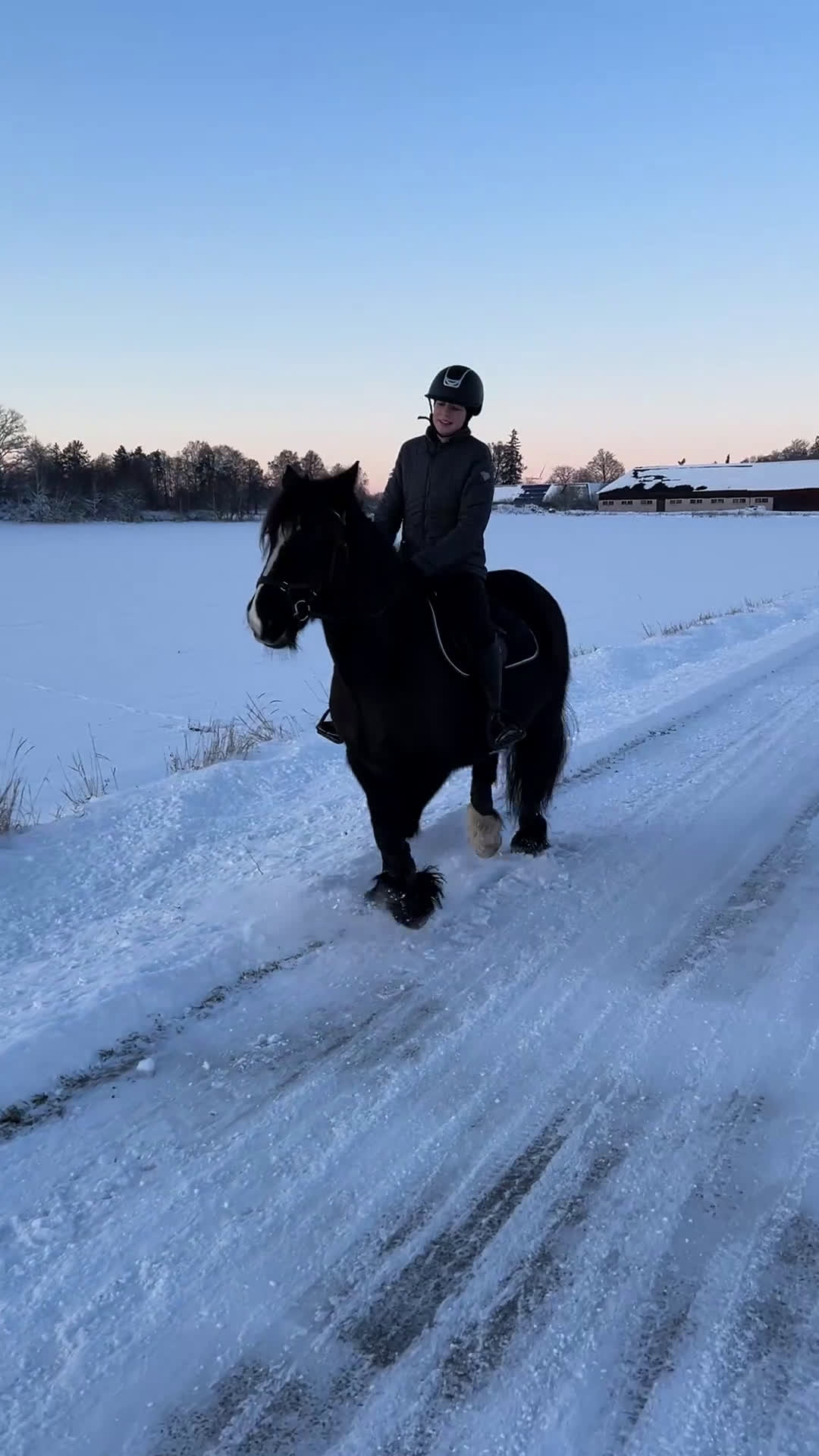 Allround hästar till salu: Läromästare och bästa vän söker nytt hem - Video 1