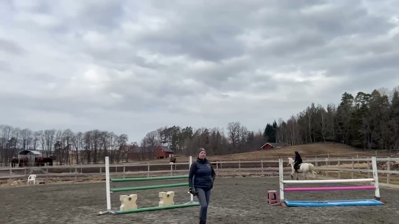 Hoppning hästar till salu: D ponny,  eu I Love You Melody  - Video 2