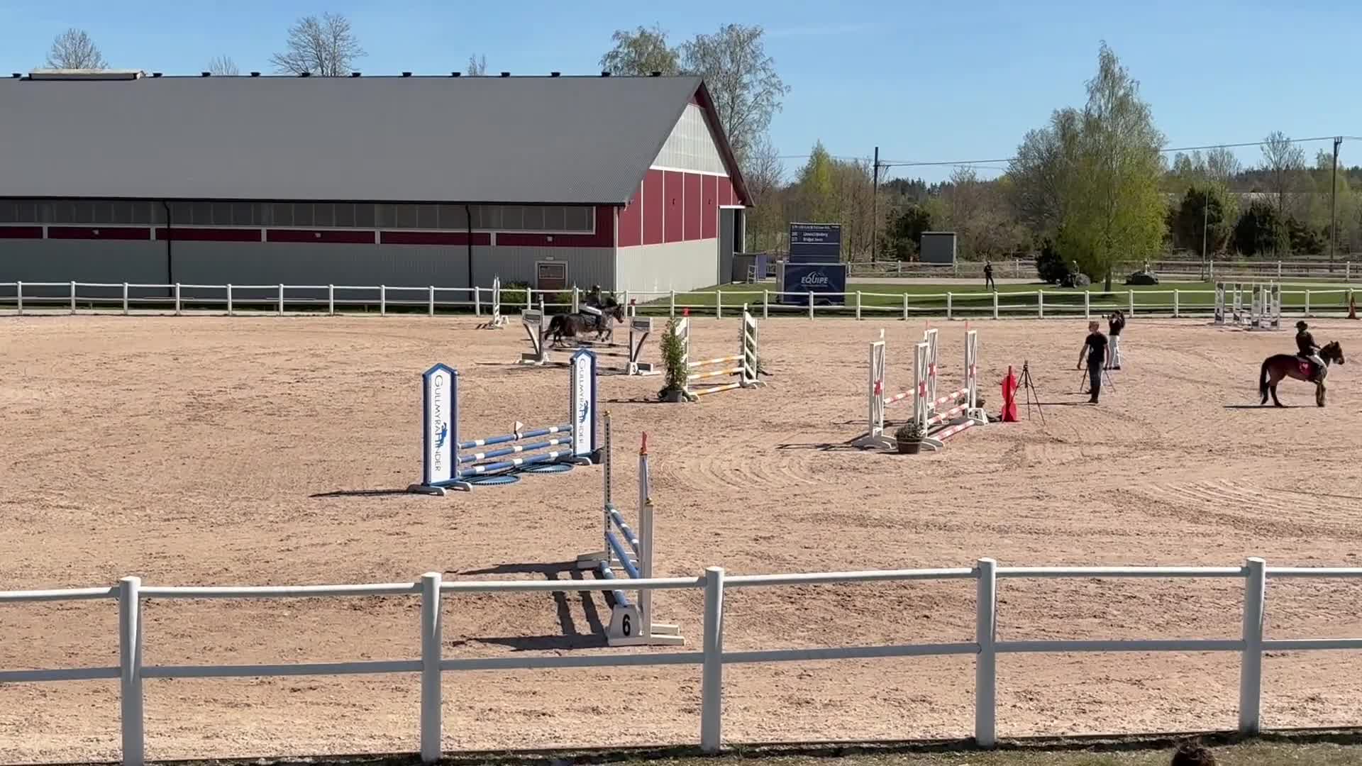 Hoppning hästar till salu: B-ponny med kapacitet  - Video 2