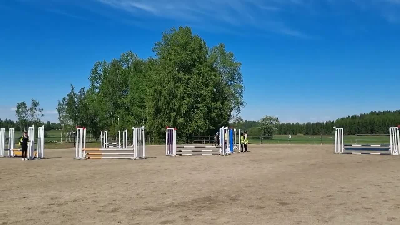 Allround hästar till salu: Fantastisk allround ponny - Video 1