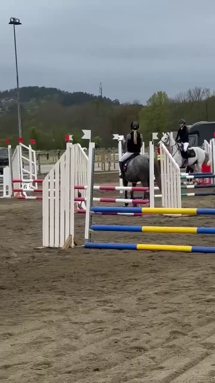 Hoppning hästar till salu: Perfekt läromästare! i Västra Tunhem - Video 3