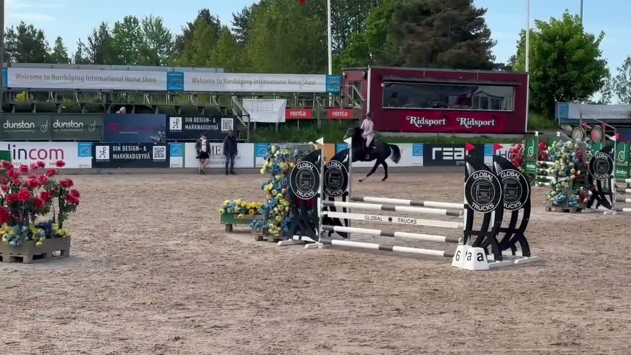 Hoppning hästar till salu: Storhoppande 4åring - Video 2