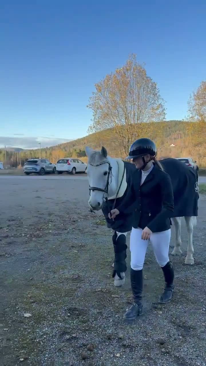 Allround hästar till salu: Ballyerk Dinny – Fantastisk C-ponny - Video 1