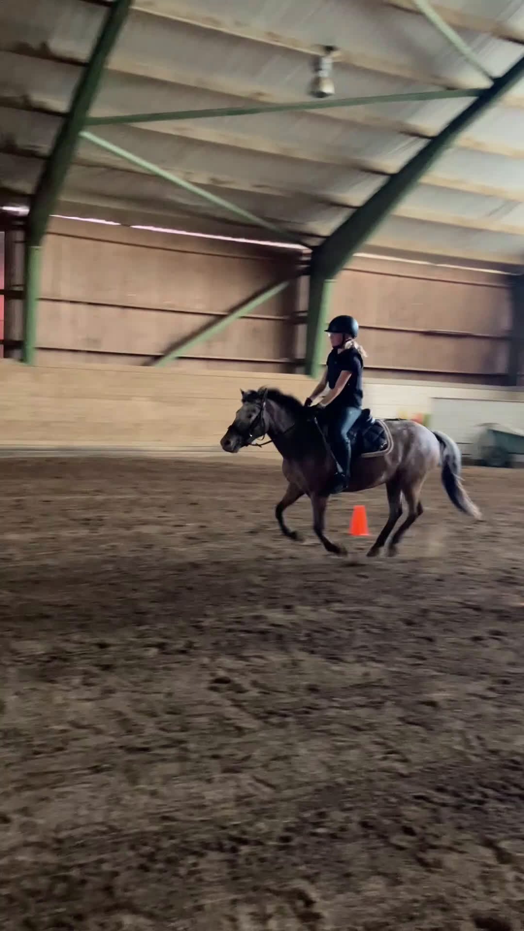 Övrigt hästar till salu: Gotlandsruss  - Video 1