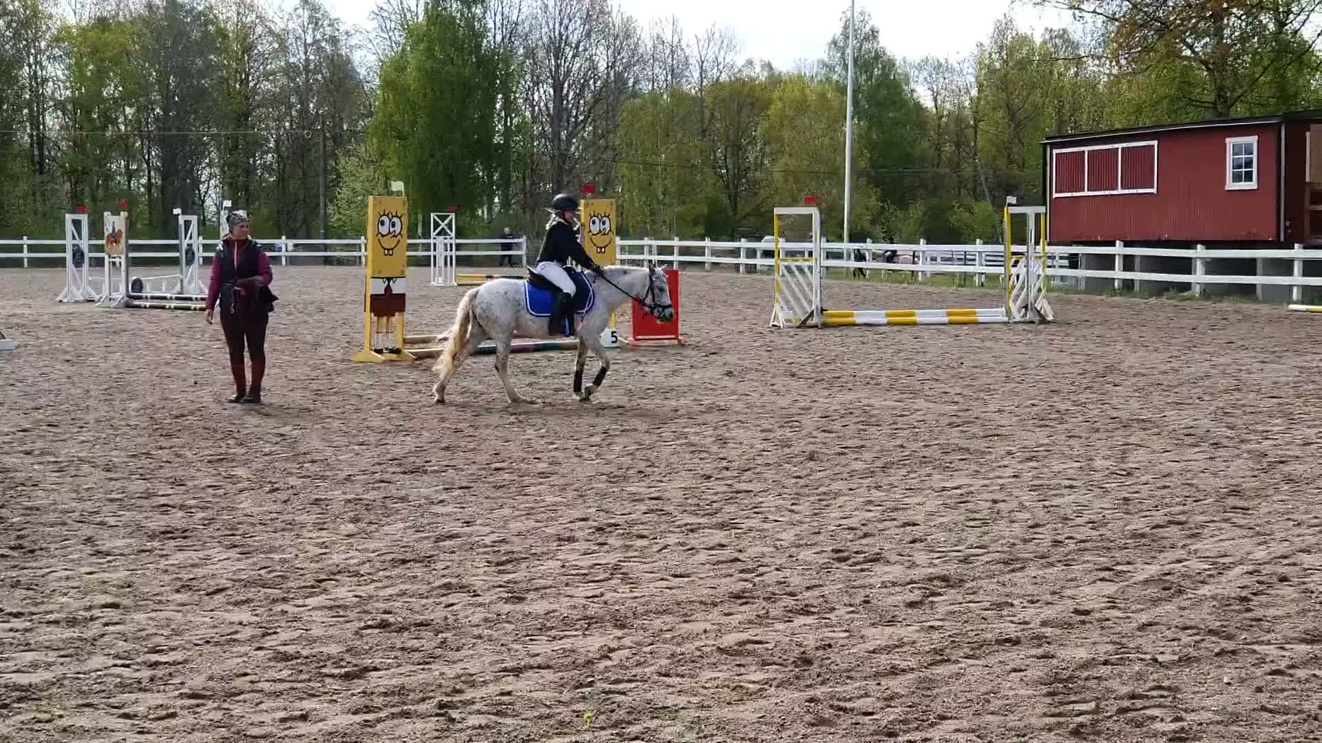 Allround hästar till salu: Intessekoll - Video 1
