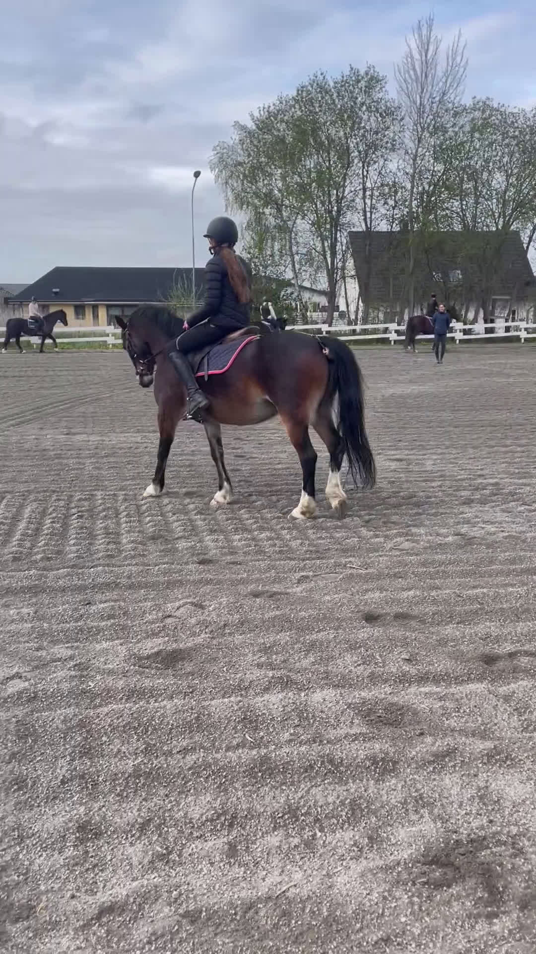 Allround hästar sökes: Medryttare finnes i Helsingborg - Video 1