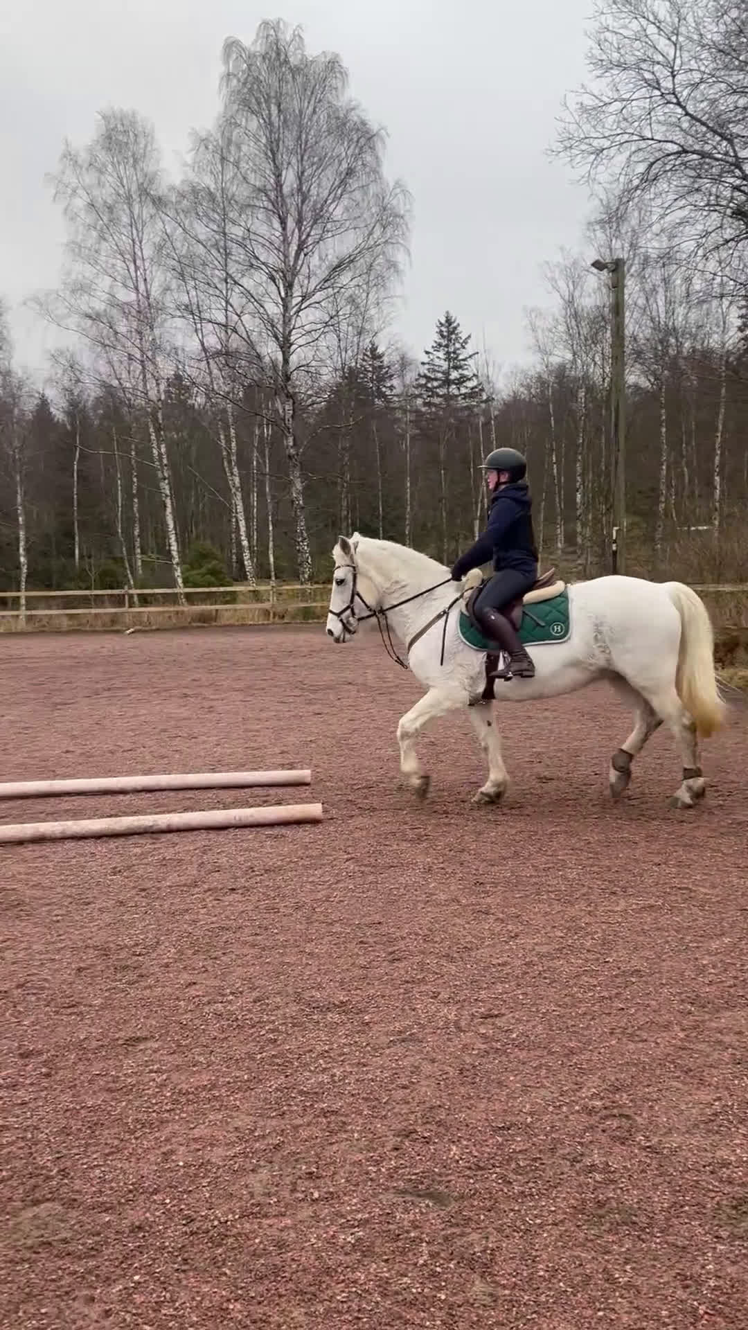  foderhäst sökes: Hoppglad ponny sökes, senare köp - Video 2