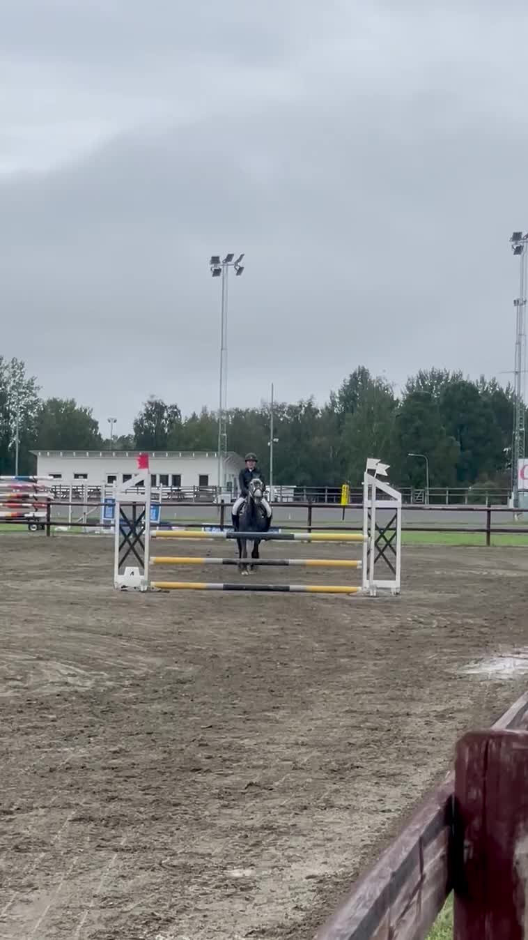 Allround hästar till salu: Projekt ponny i Bollstabruk - Video 2