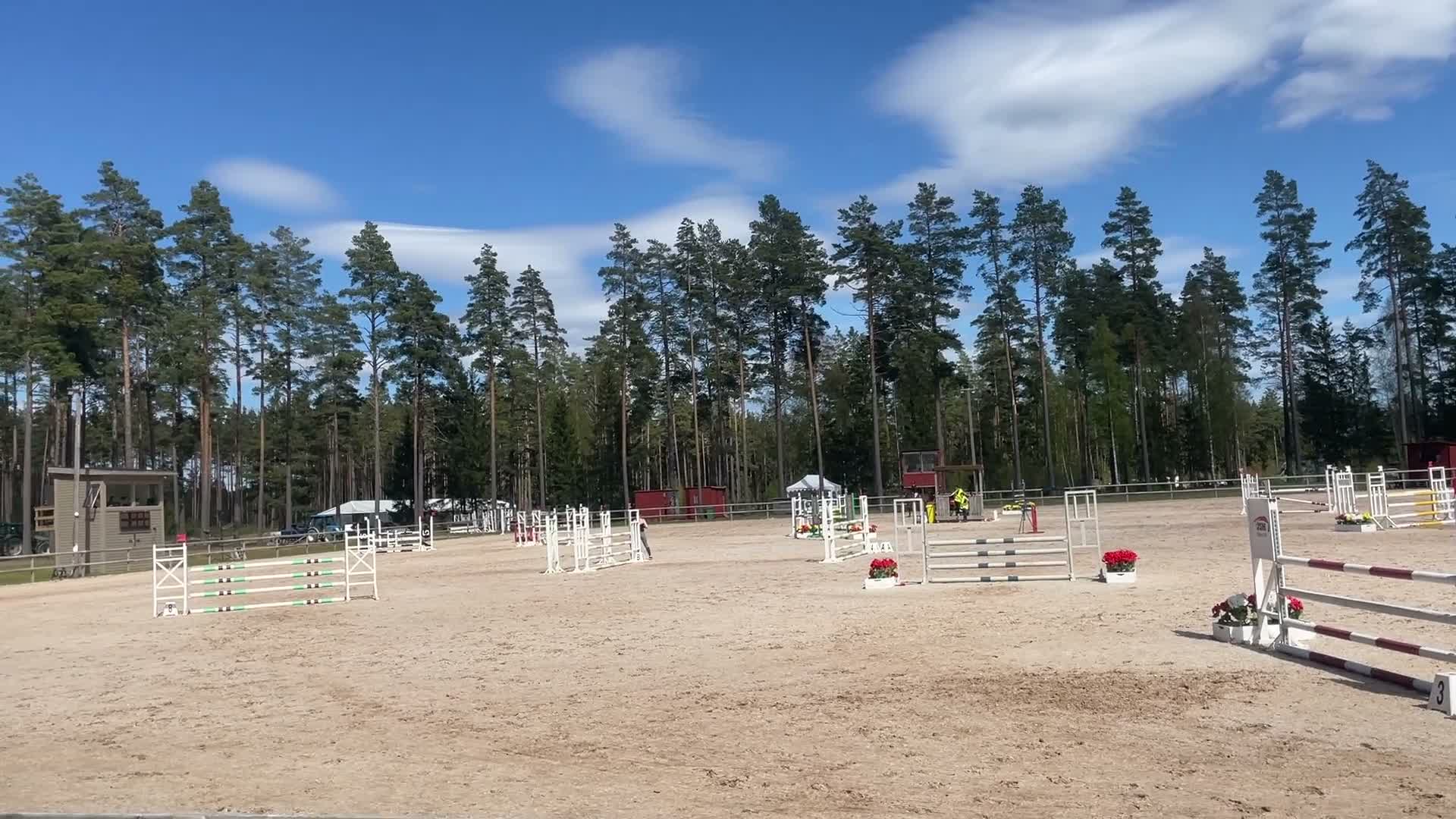 Hoppning hästar till salu: Välutbildad tävlingshäst med stor kapacitet - Video 1