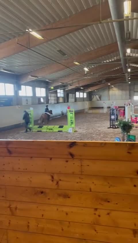 Allround hästar till salu: Vaken LÄROMÄSTARE i Eskilstuna - Video 1