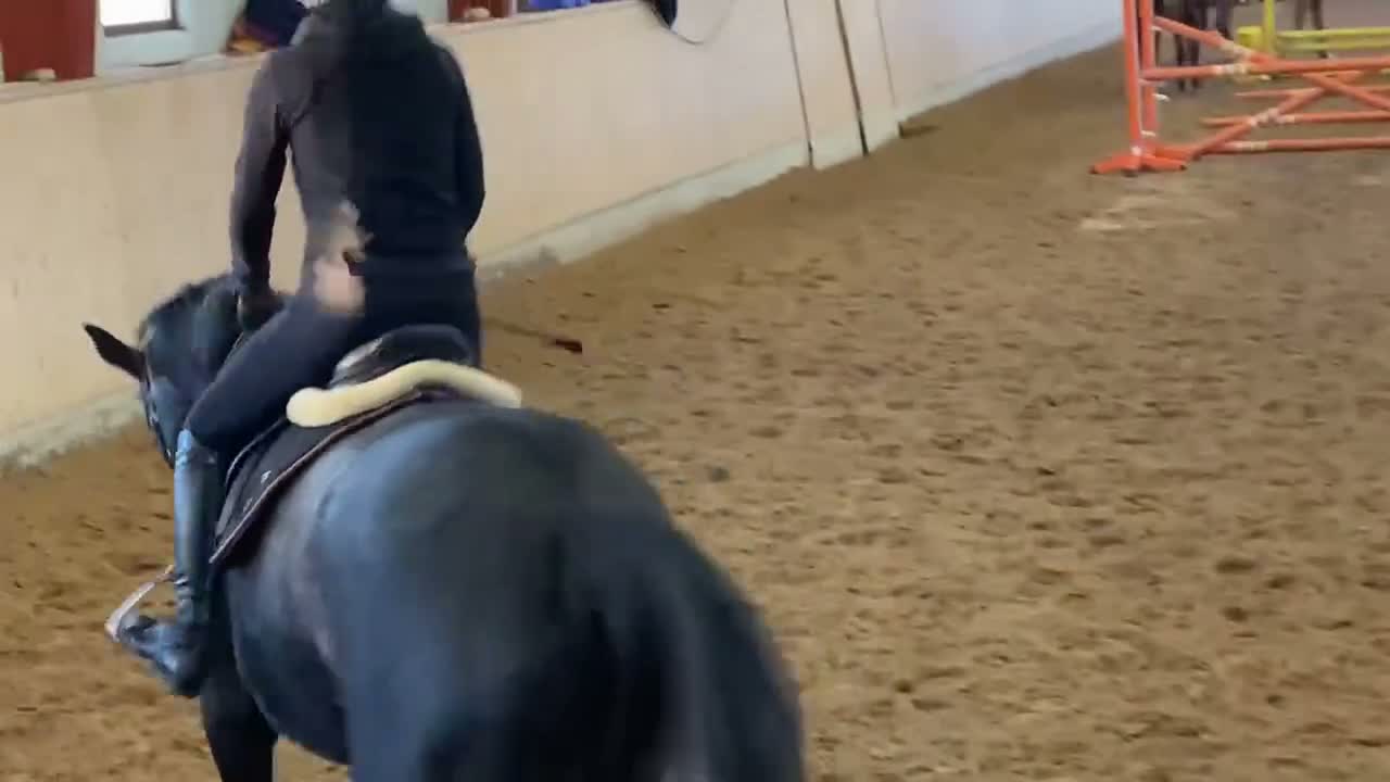 Hoppning hästar till salu: Fantastisk 4åring med fin stam! - Video 3