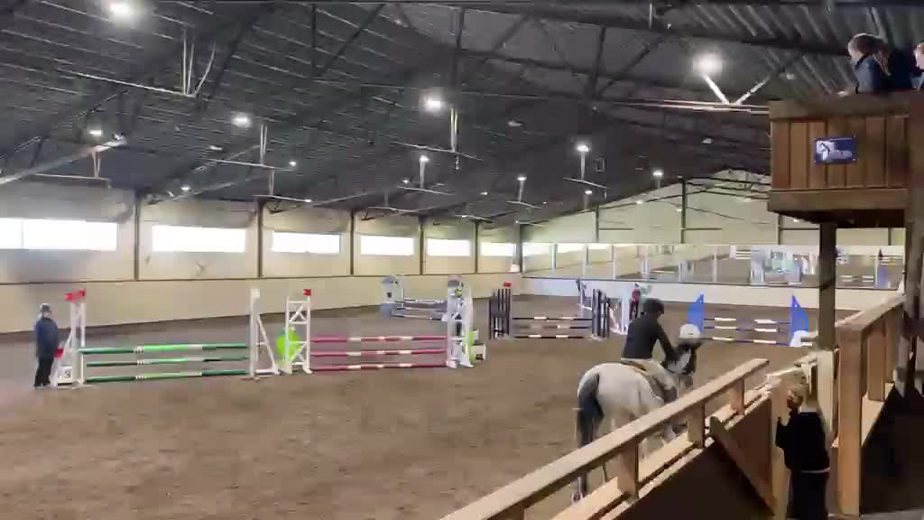 Hoppning hästar till salu: Utvecklingsbar 7 åring - Video 1