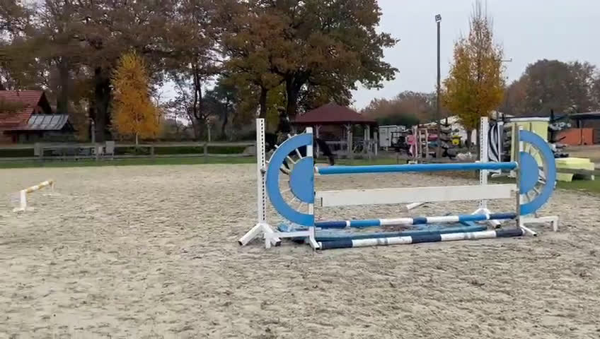 Hoppning hästar till salu: 3åring med super möderne  i Åtvidaberg - Video 2