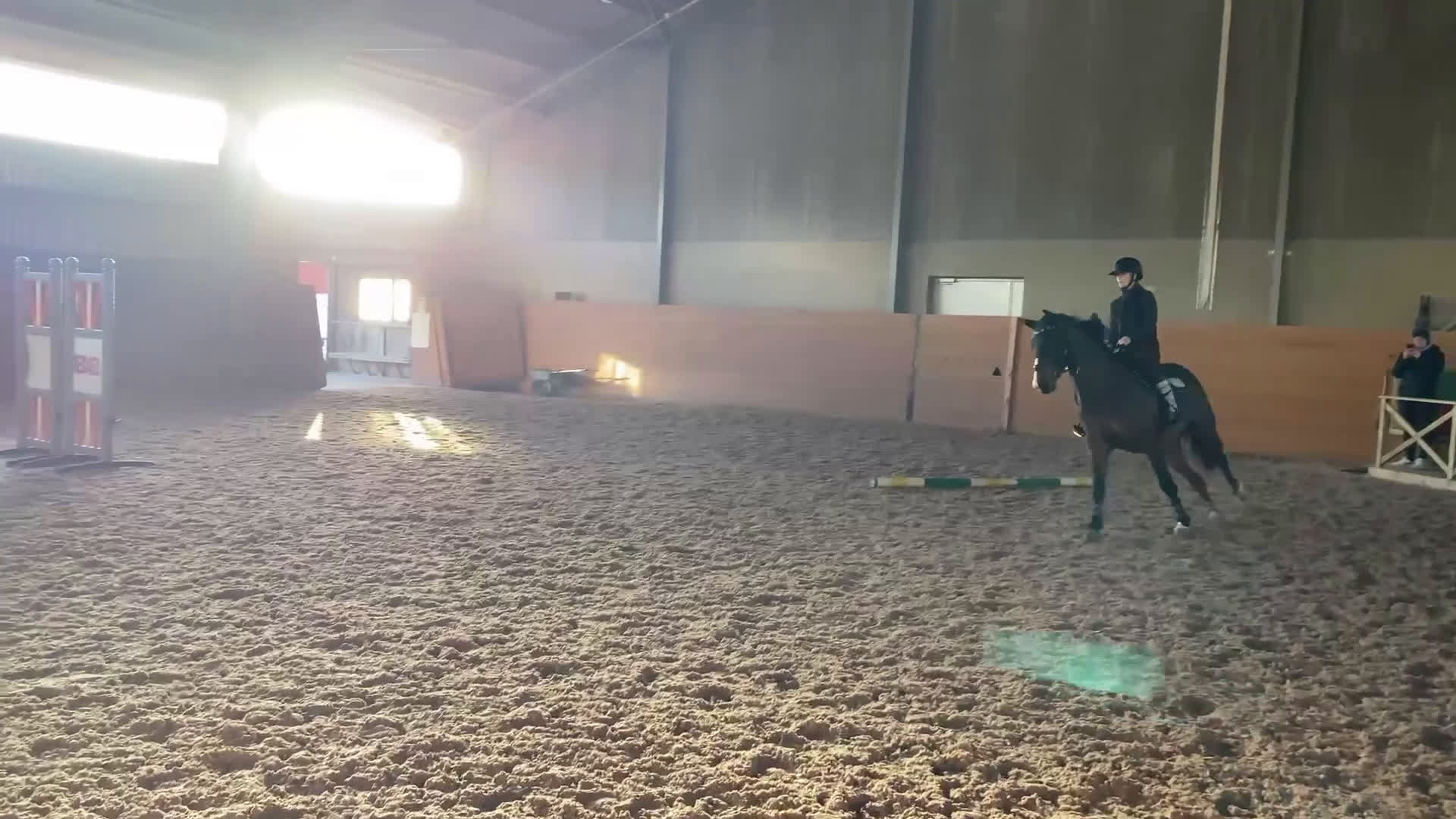 Hoppning hästar till salu: Fantastik tjej 🤩 - Video 2