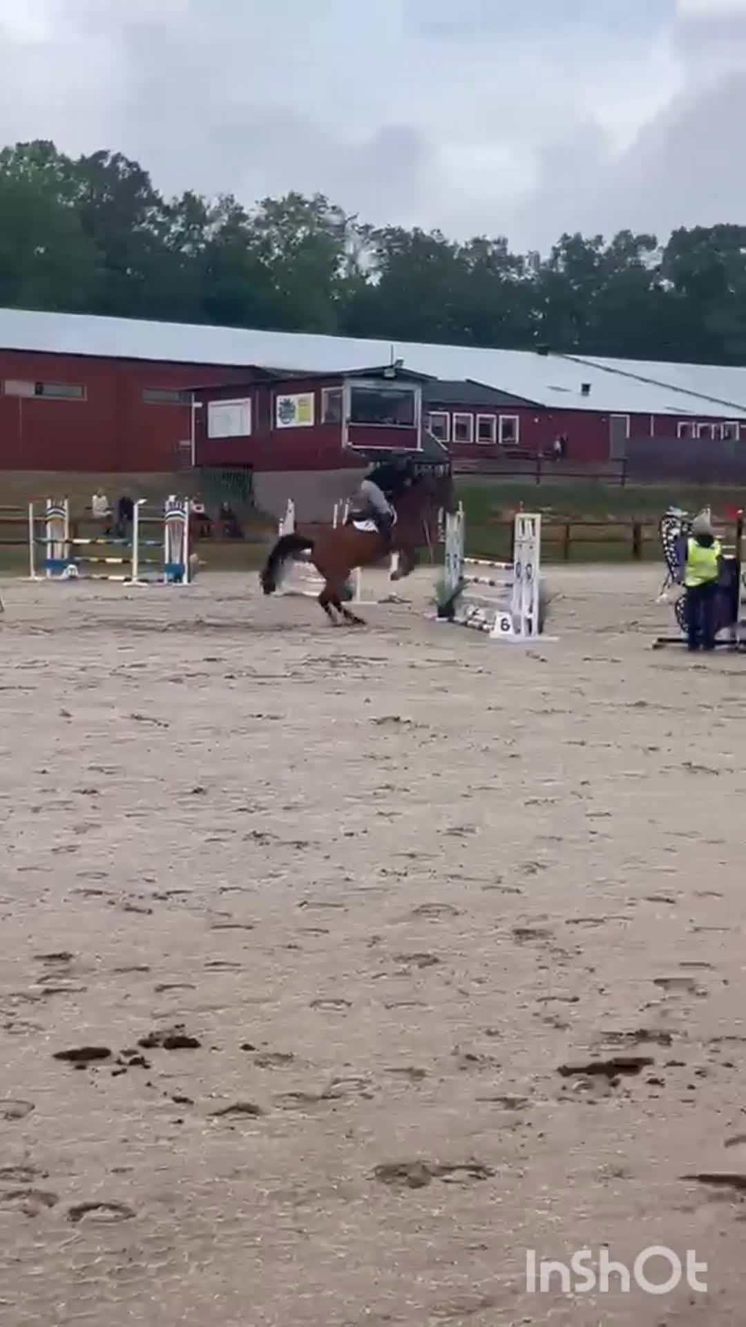 Hoppning hästar till salu: Charmig kille med potential!✨️ i Trensum - Video 1