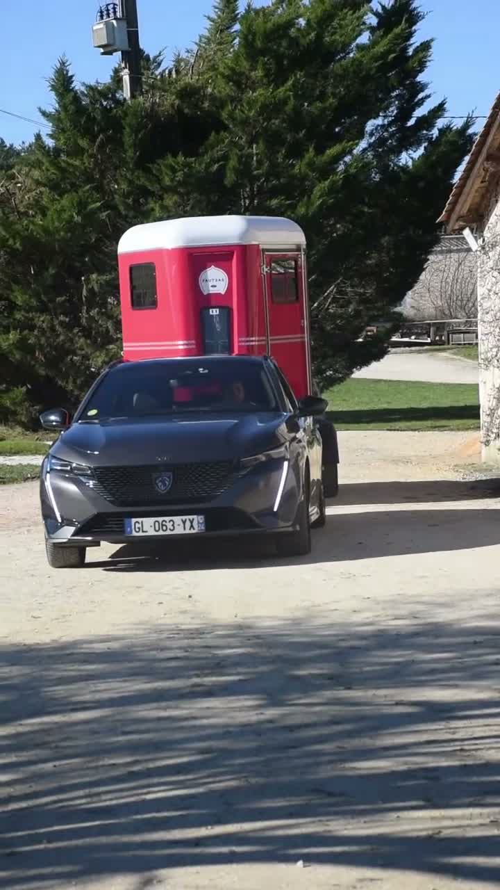 Hästtransporter  fordon & transport till salu: Fautras Provan- låg step-up=problemfri lastning - Video 1