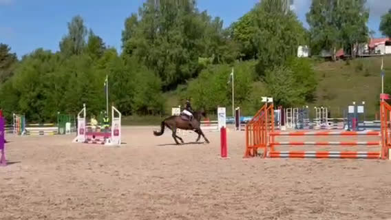 Hoppning hästar till salu: Bästavän i Fristad - Video 2