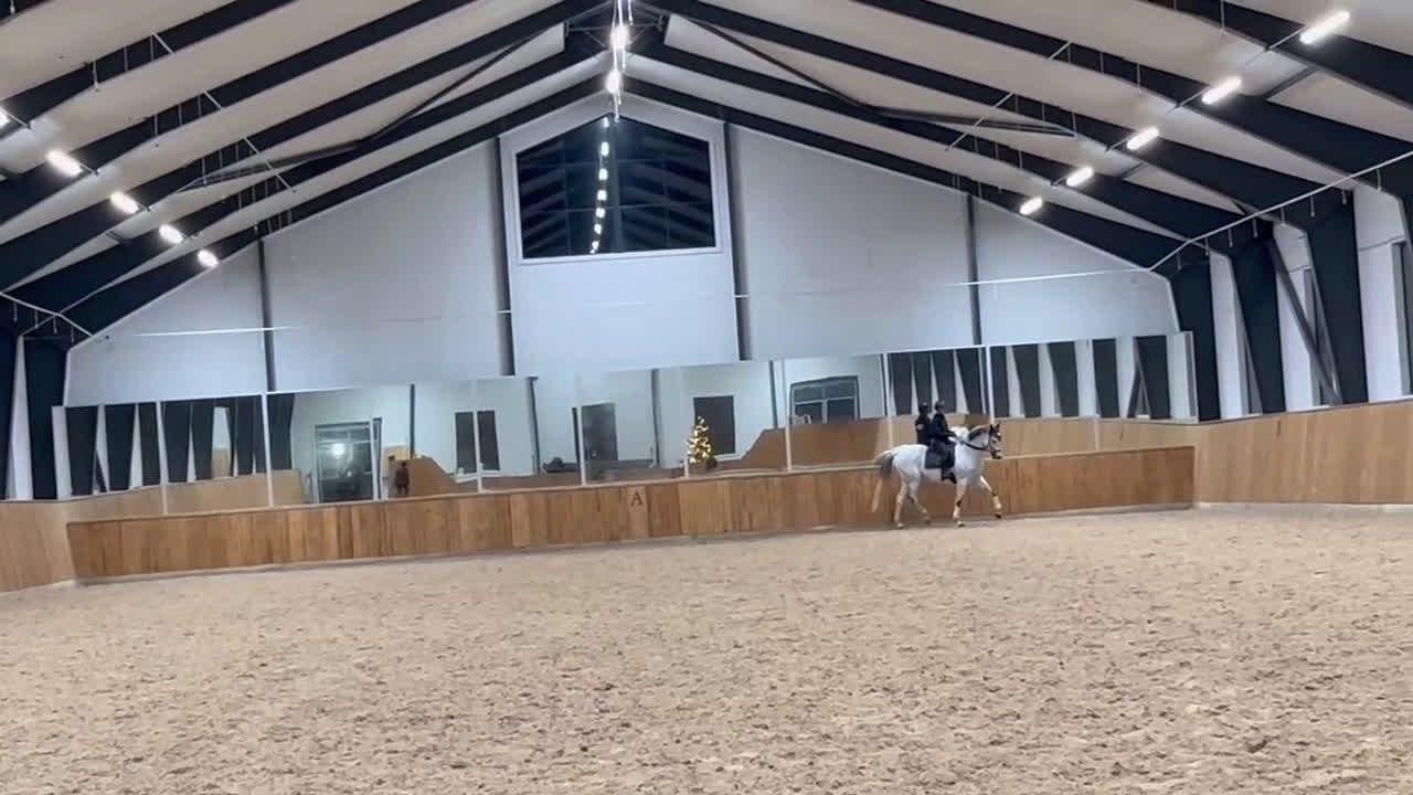 Allround hästar till salu: Fin & mysig bästa vän att träna och utvecklas med - Video 4