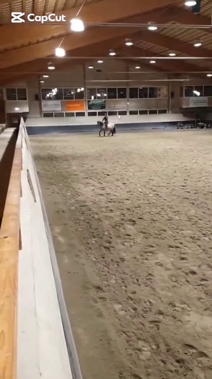 Körning hästar till salu: Charmig ponny till tuff ryttare! i Ljusdal - Video 4